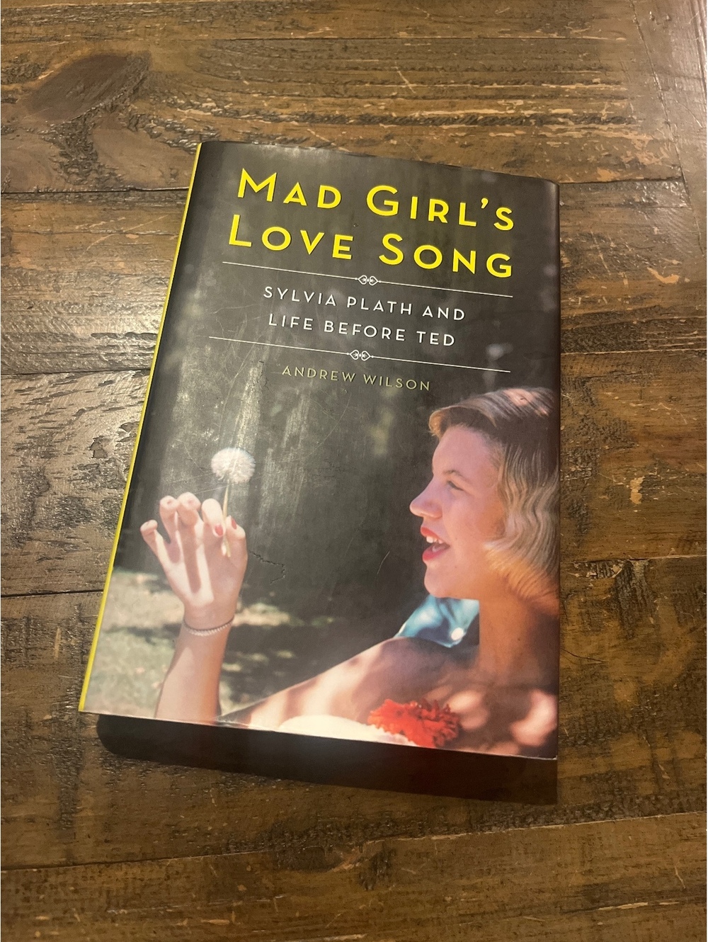 Mad Girl's Love Song: Sylvia Plath and Life Before Ted by Andrew Wilson